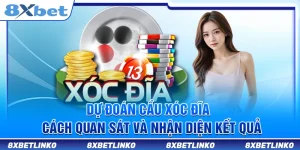 Dự Đoán Cầu Xóc Đĩa – Cách Quan Sát Và Nhận Diện Kết Quả