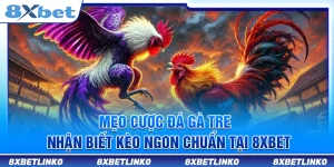 Mẹo Cược Đá Gà Tre – Nhận Biết Kèo Ngon Chuẩn tại 8xbet