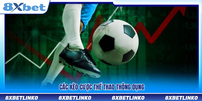 Những loại kèo thể thao phổ biến hiện nay