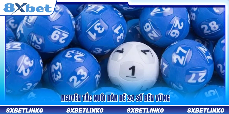 Các nguyên tắc nuôi dàn đề 24 số an toàn