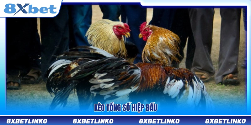 Kèo cược dự đoán tổng số hiệp diễn ra trong trận đấu