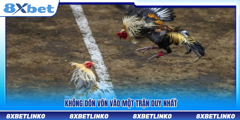 Tránh tập trung toàn bộ ngân sách vào một trận đấu